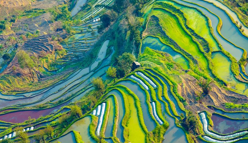 宝妈必备神器：信丰县产品视频拍摄轻松育儿好帮手
