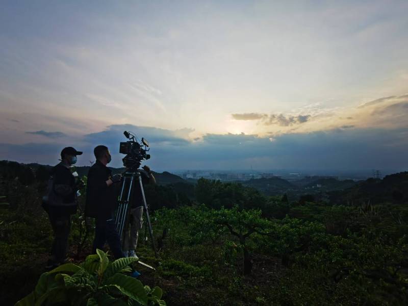 聚焦信丰县产品宣传视频拍摄公司，用专业实力铸就品牌传播传奇