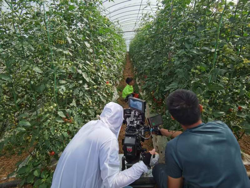 信丰县产品宣传视频拍摄公司进阶指南，助力品牌抢占传播高地